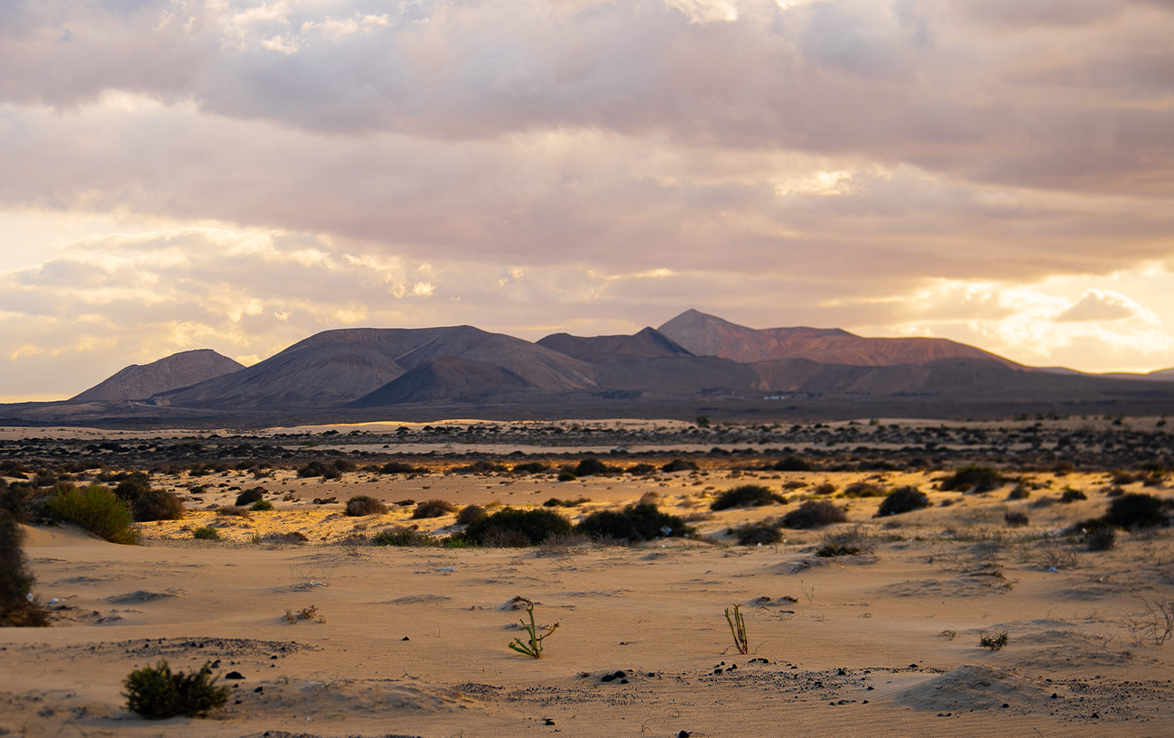 10 cose da sapere su Fuerteventura 